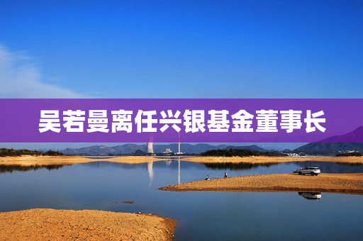 吴若曼离任兴银基金董事长