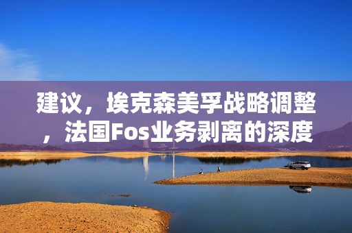 建议，埃克森美孚战略调整，法国Fos业务剥离的深度解析