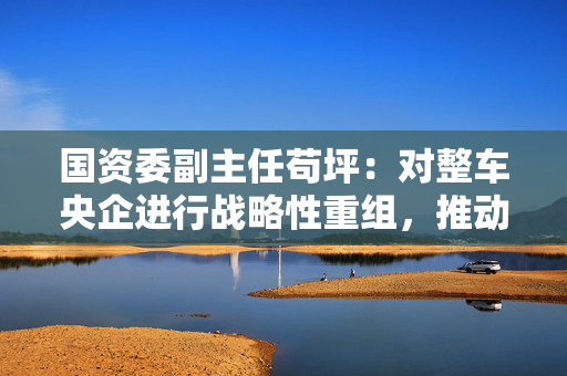 国资委副主任苟坪：对整车央企进行战略性重组，推动企业内部专业化整合