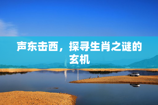 声东击西，探寻生肖之谜的玄机