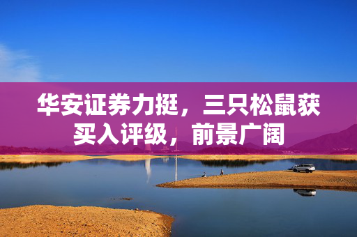 华安证券力挺，三只松鼠获买入评级，前景广阔