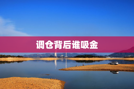 调仓背后谁吸金