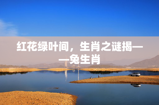 红花绿叶间，生肖之谜揭——兔生肖