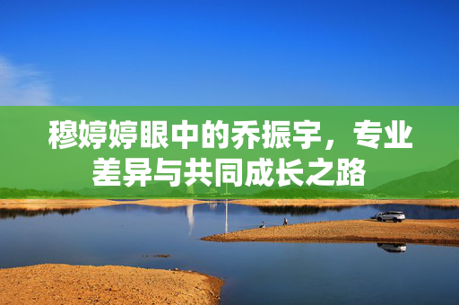 穆婷婷眼中的乔振宇，专业差异与共同成长之路