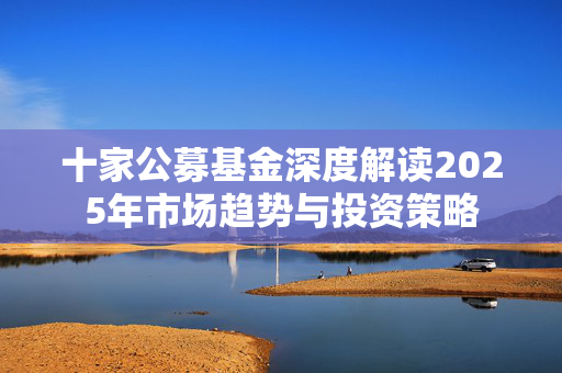 十家公募基金深度解读2025年市场趋势与投资策略