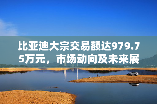 比亚迪大宗交易额达979.75万元，市场动向及未来展望