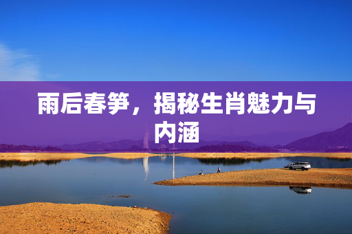 雨后春笋，揭秘生肖魅力与内涵