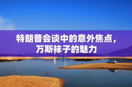 特朗普会谈中的意外焦点，万斯袜子的魅力