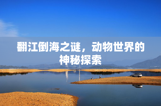 翻江倒海之谜，动物世界的神秘探索