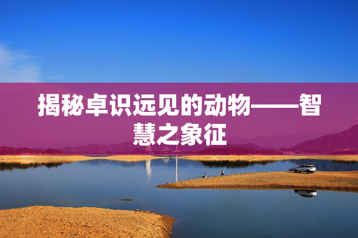 揭秘卓识远见的动物——智慧之象征