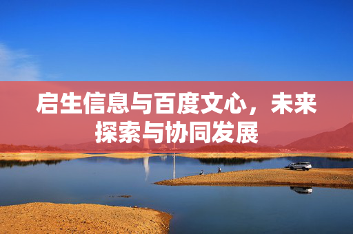 启生信息与百度文心，未来探索与协同发展