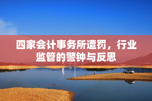 四家会计事务所遭罚，行业监管的警钟与反思