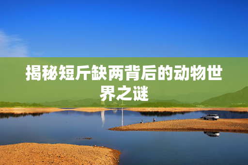 揭秘短斤缺两背后的动物世界之谜
