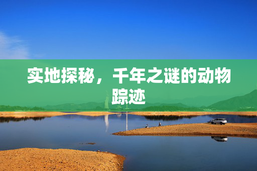 实地探秘，千年之谜的动物踪迹