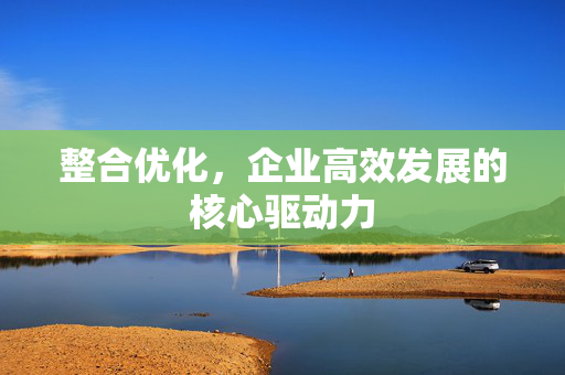整合优化，企业高效发展的核心驱动力