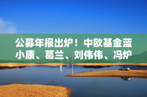 公募年报出炉！中欧基金蓝小康、葛兰、刘伟伟、冯炉丹最新观点一览