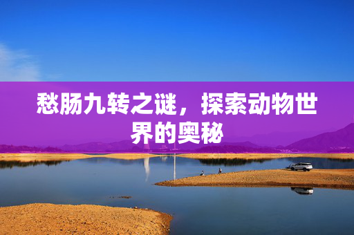愁肠九转之谜，探索动物世界的奥秘