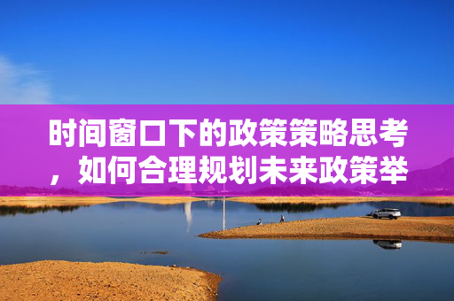时间窗口下的政策策略思考，如何合理规划未来政策举措