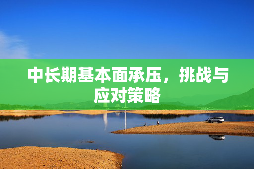 中长期基本面承压，挑战与应对策略