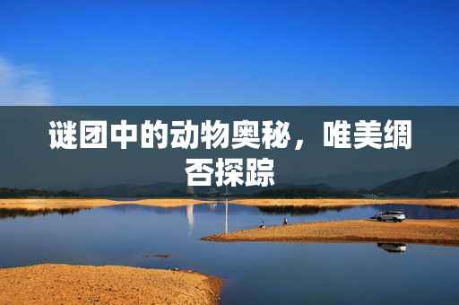 谜团中的动物奥秘，唯美绸否探踪