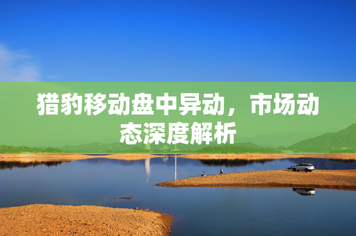 猎豹移动盘中异动，市场动态深度解析