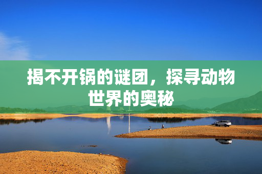 揭不开锅的谜团，探寻动物世界的奥秘