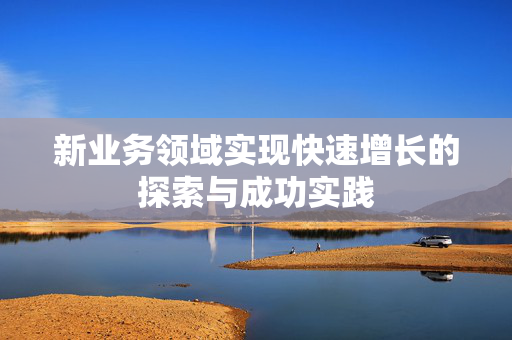 新业务领域实现快速增长的探索与成功实践