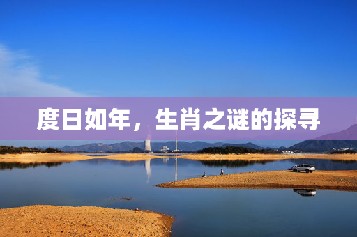 度日如年，生肖之谜的探寻