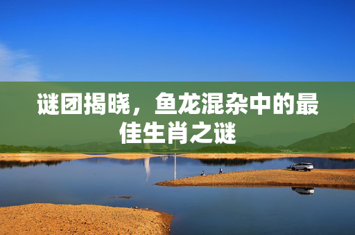 谜团揭晓，鱼龙混杂中的最佳生肖之谜
