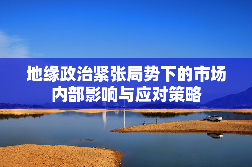 地缘政治紧张局势下的市场内部影响与应对策略