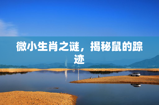 微小生肖之谜，揭秘鼠的踪迹