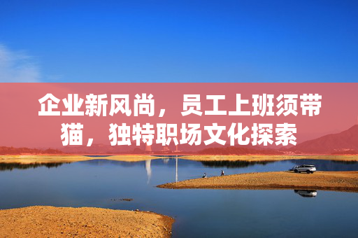 企业新风尚，员工上班须带猫，独特职场文化探索