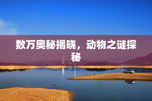 数万奥秘揭晓，动物之谜探秘