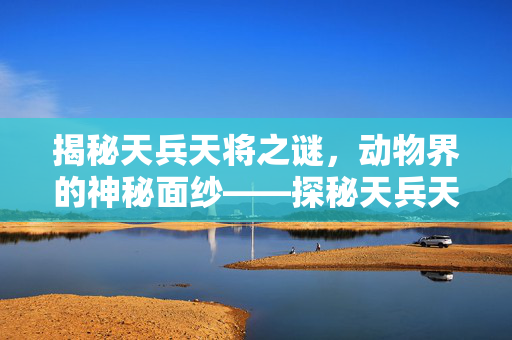 揭秘天兵天将之谜，动物界的神秘面纱——探秘天兵天将之动物身份