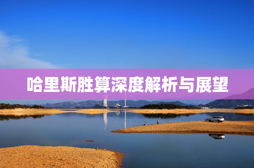 哈里斯胜算深度解析与展望