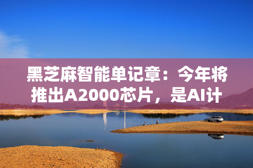 黑芝麻智能单记章：今年将推出A2000芯片，是AI计算效率的重大突破