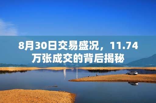 8月30日交易盛况，11.74万张成交的背后揭秘