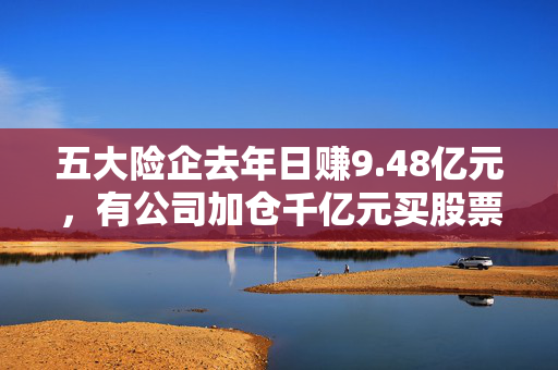 五大险企去年日赚9.48亿元，有公司加仓千亿元买股票