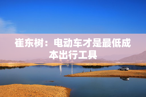 崔东树：电动车才是最低成本出行工具
