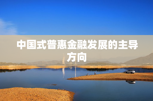 中国式普惠金融发展的主导方向