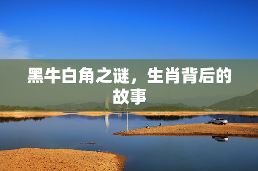 黑牛白角之谜，生肖背后的故事
