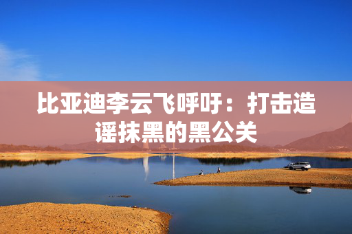 比亚迪李云飞呼吁：打击造谣抹黑的黑公关