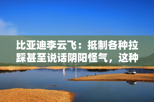 比亚迪李云飞：抵制各种拉踩甚至说话阴阳怪气，这种行为非常讨厌