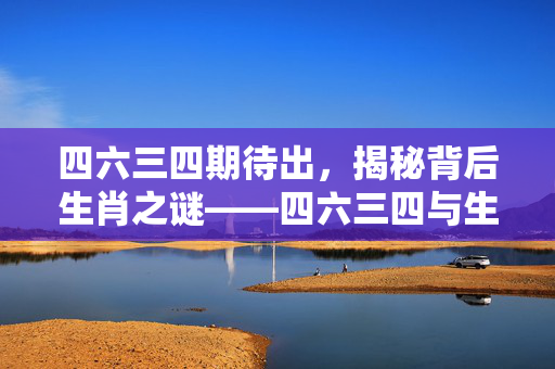 四六三四期待出，揭秘背后生肖之谜——四六三四与生肖之谜的探寻
