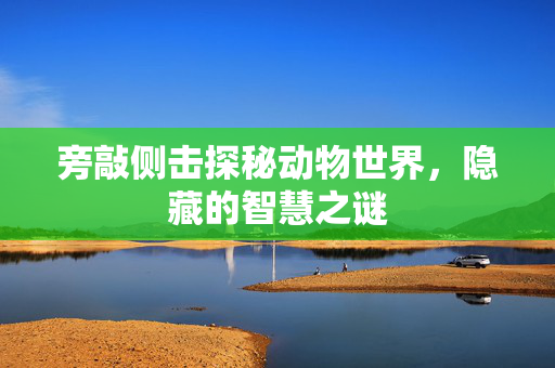 旁敲侧击探秘动物世界，隐藏的智慧之谜