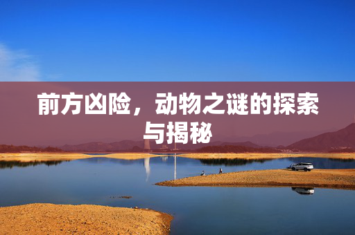 前方凶险，动物之谜的探索与揭秘