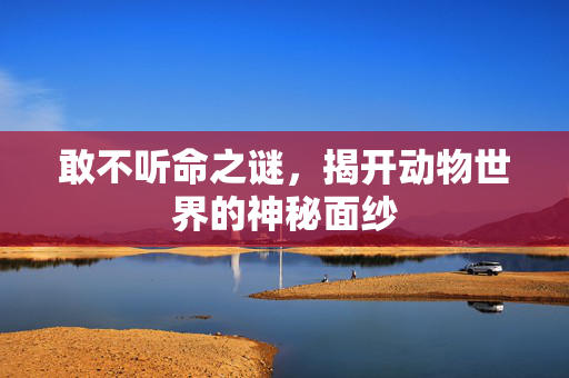 敢不听命之谜，揭开动物世界的神秘面纱