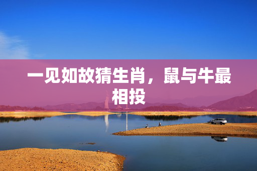 一见如故猜生肖，鼠与牛最相投