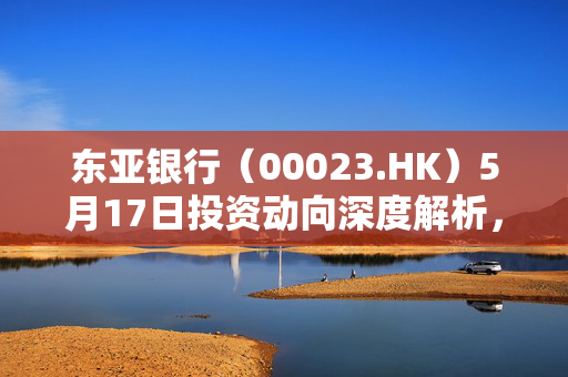 东亚银行（00023.HK）5月17日投资动向深度解析，资金流向及策略洞察