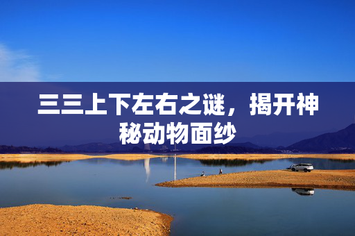 三三上下左右之谜，揭开神秘动物面纱